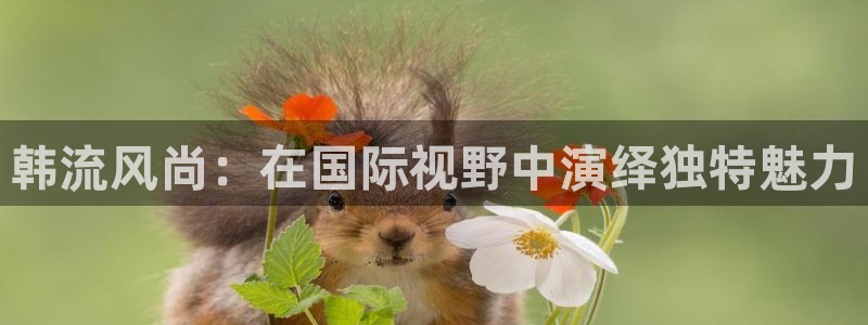 羞羞影院在线视频：韩流风尚：在国际视野中演绎独特魅力