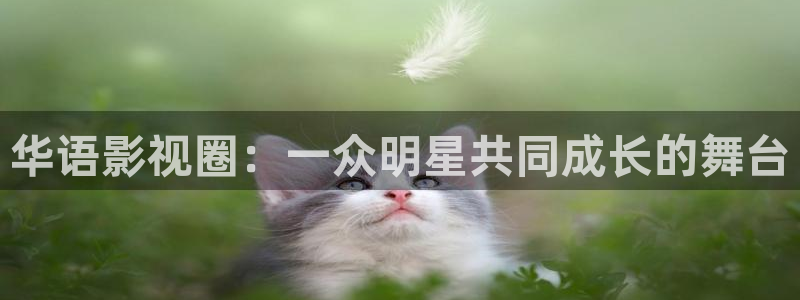 羞羞影院天堂：华语影视圈：一众明星共同成长的舞台